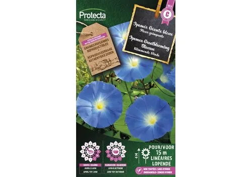 Protecta Klimmende Winde Grootbloemig Blauwe | Ipomoea tricolor
