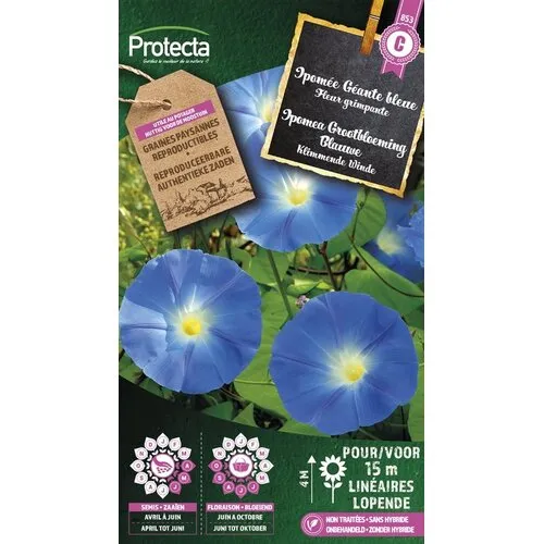 Protecta Klimmende Winde Grootbloemig Blauwe | Ipomoea tricolor