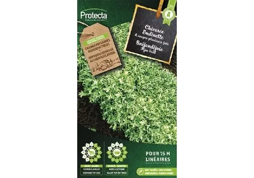 Protecta Snijandijvie met fijne krul