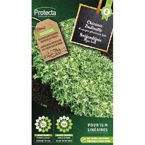 Protecta Snijandijvie met fijne krul