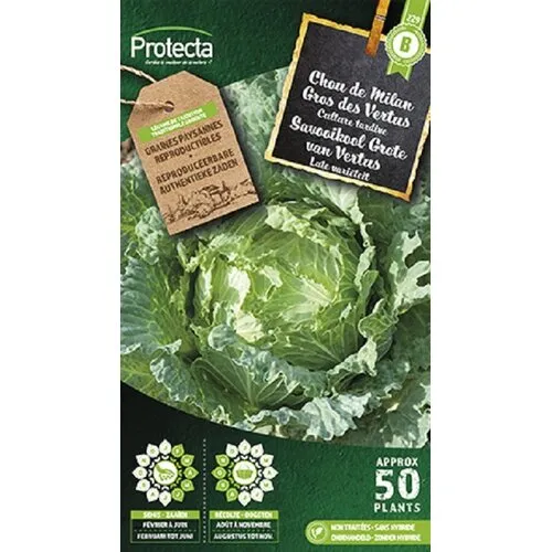 Protecta Savooikool Grote van Vertus