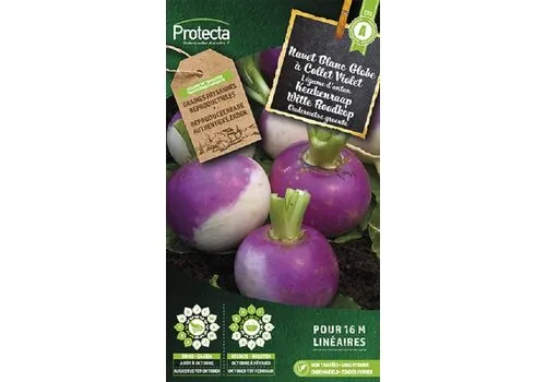 Protecta Keukenraap Witte Roodkop