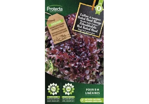 Protecta Eikenbladsla Rode Salad Bowl