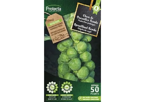 Protecta Spruitkool Sanda