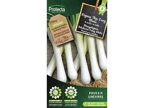 Protecta Stengelajuin Ishikura Long White