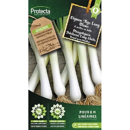 Protecta Stengelajuin Ishikura Long White