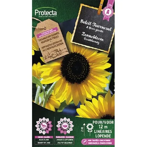 Protecta Zonnebloem Grootbloemig