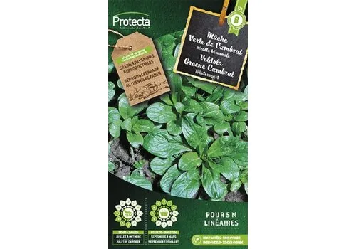 Protecta Veldsla Groene Cambrai