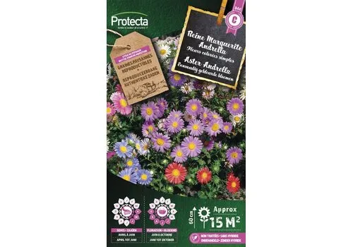 Protecta Aster Andrella gemengd