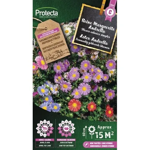 Protecta Aster Andrella gemengd
