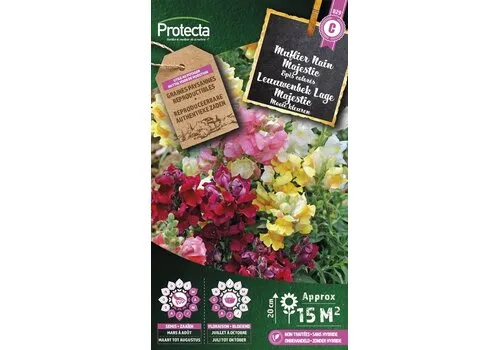 Protecta Leeuwenbek Lage Majestic | Antirrhinum Majus
