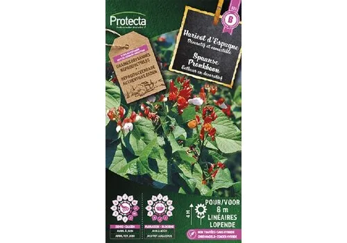 Protecta Spaanse Pronkboon