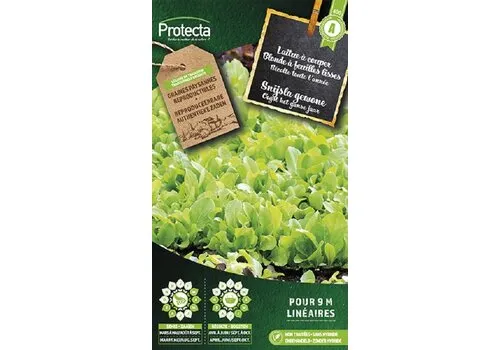 Protecta Snijsla gewone