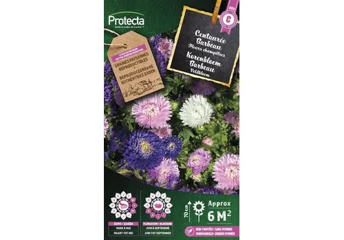 Protecta Korenbloem Barbeau gemengd