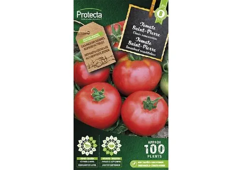 Protecta Tomaat Saint-Pierre Piersol