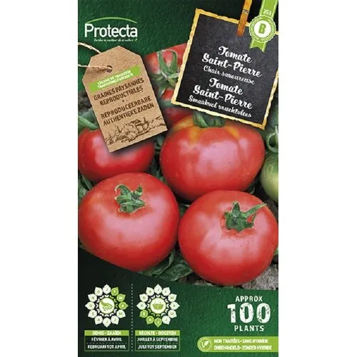 Protecta Tomaat Saint-Pierre Piersol