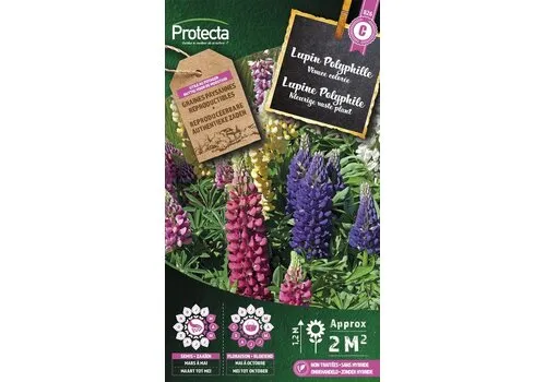 Protecta Lupine Doorlevend | Lupinus
