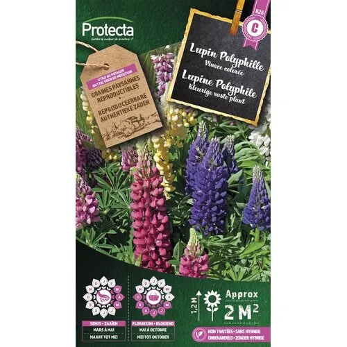 Protecta Lupine Doorlevend | Lupinus