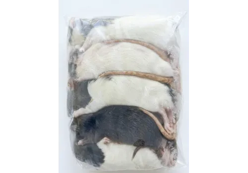 Junai.nl Diepvries volwassen ratten – 1 kilo voordeel
