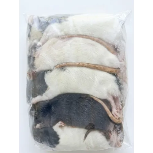 NutriPrey Diepvries volwassen ratten – 1 kilo voordeel