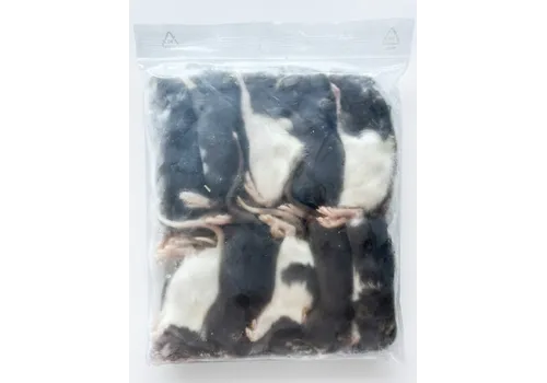 NutriPrey Diepvries ratten klein – 1 kilo voordeel