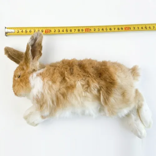 NutriPrey Diepvries konijn klein 300–700 gram