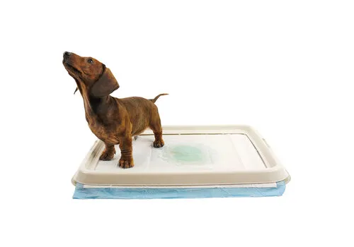 2ekans EasyPets Training Pads Houder