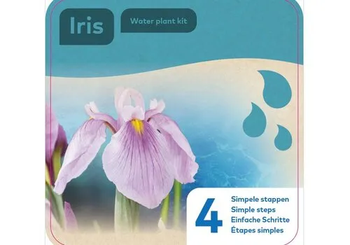 Moerings Droogverpakking Waterplant Roze Iris