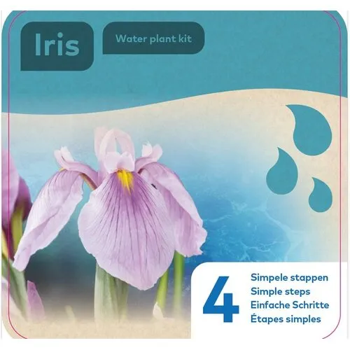 Moerings Droogverpakking Waterplant Roze Iris