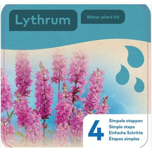 Moerings Droogverpakking Waterplant Lythrum