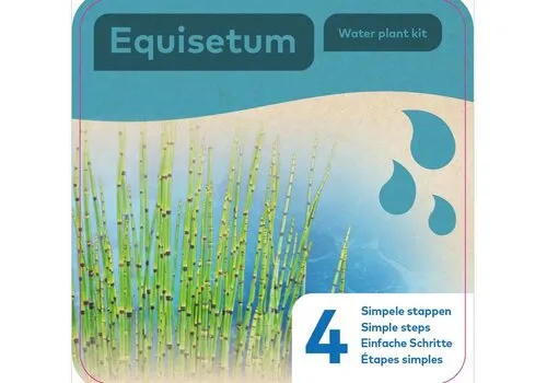Moerings Droogverpakking Waterplant Equisetum