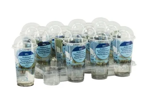 Moerings Drijfplanten mix in beker Small
