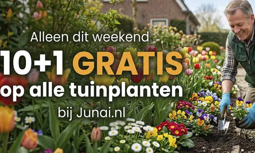 10+1 Gratis op alle Tuinplanten