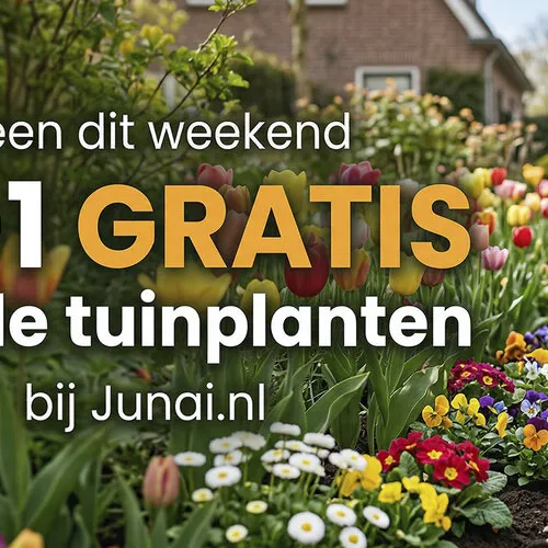 10+1 Gratis op alle Tuinplanten