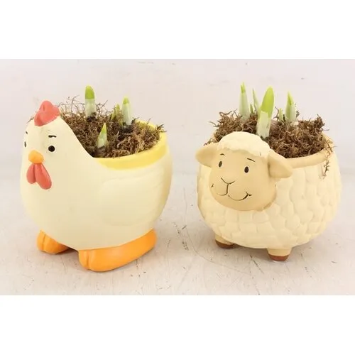 Junai.nl Kip en Schaap bloempot met narcissen | set van 2 | 15 cm pot