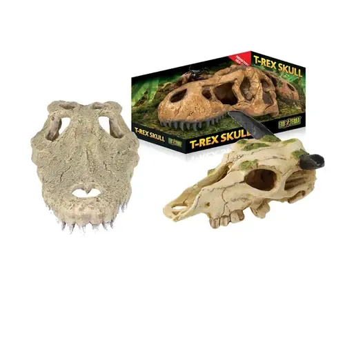 Dierlijke skeletten