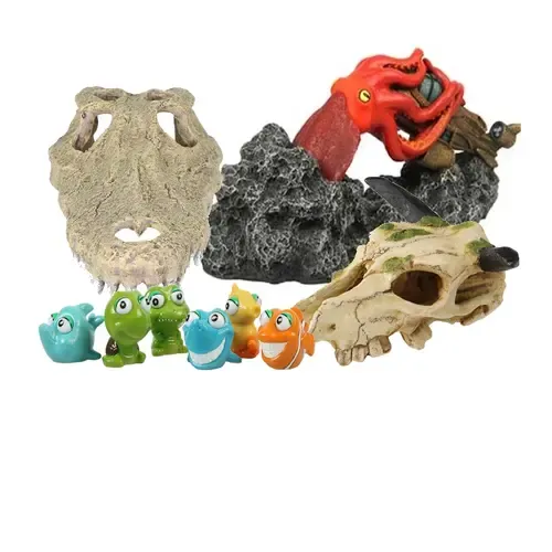 Dieren / Dierlijke skeletten / Schelpen