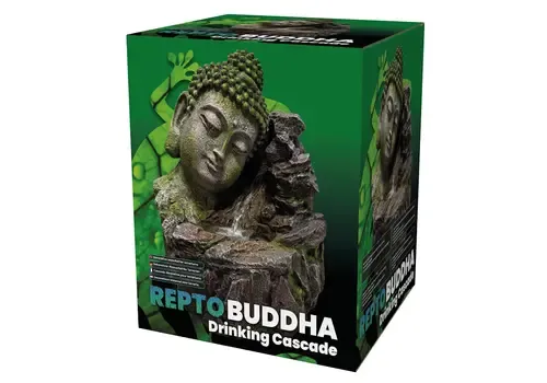Repto Buddha Cascade