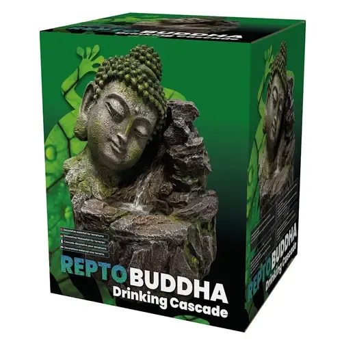 Repto Buddha Cascade