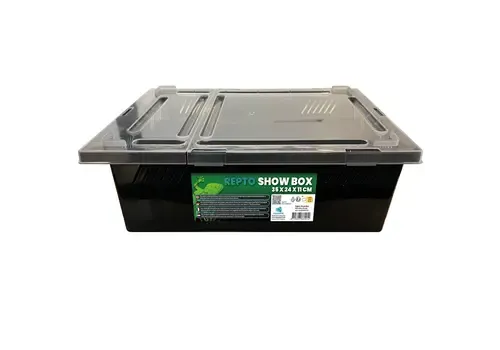 Repto Show Box 35X24X11Cm