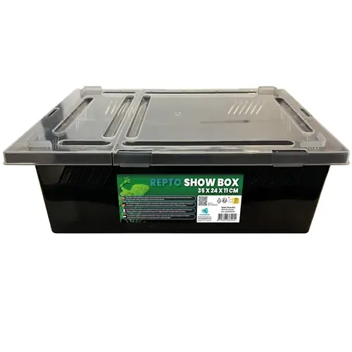Repto Show Box 35X24X11Cm
