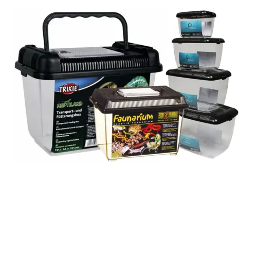 Transport / Quarantaine bakken