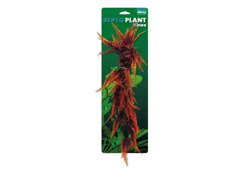 Repto Vines Orange Fern 60Cm