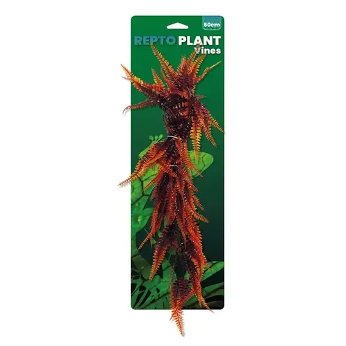 Repto Vines Orange Fern 60Cm