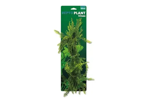 Repto Vines Green Asparagus 60Cm