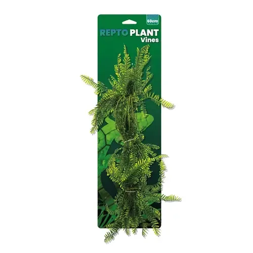Repto Vines Green Asparagus 60Cm