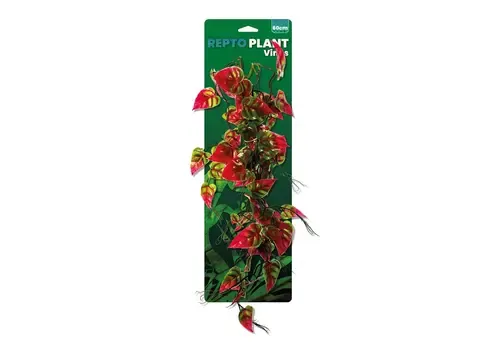 Repto Vines Pink/Green Syngonium 60Cm