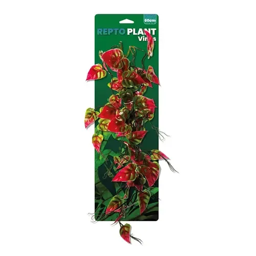 Repto Vines Pink/Green Syngonium 60Cm