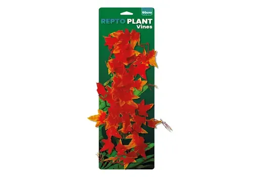 Repto Vines Orange Hedera 60Cm