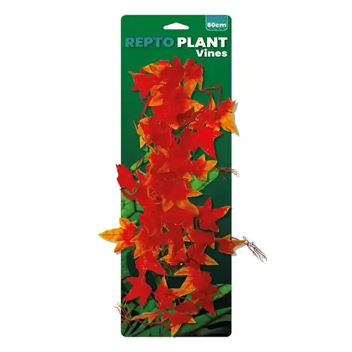 Repto Vines Orange Hedera 60Cm